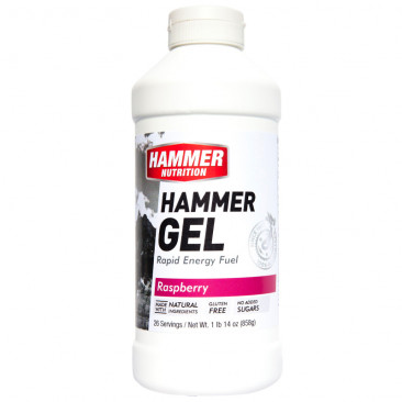 Hammer Nutrition Hammer Gel (26 Serving)