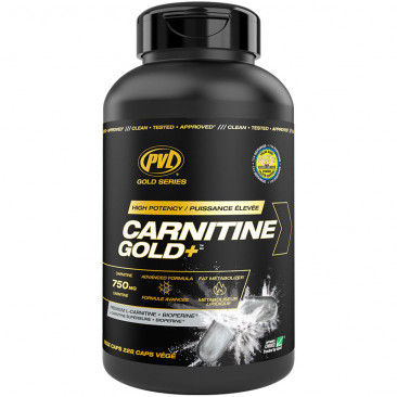 PVL Gold Series L-Carnitine Gold+ *VALUE SIZE!*